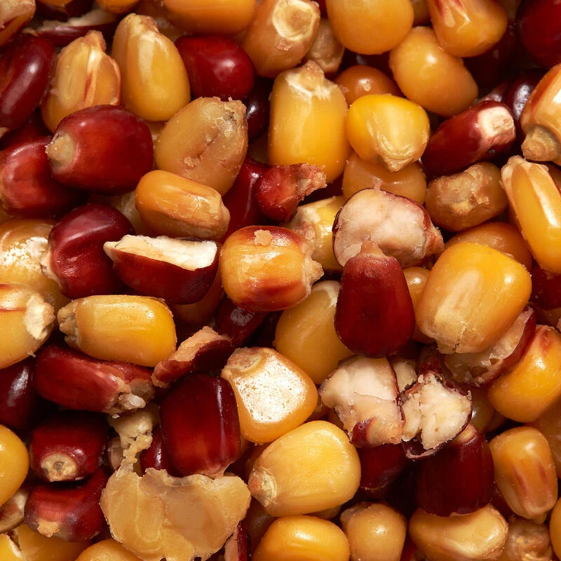 Maïs Cuit Jaune Et Rouge 1kg Graines Pêche De La Carpe – Image 2